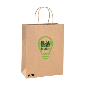 Virgin Kraft Paper Shopping Bags 100gsm Twisted Handles